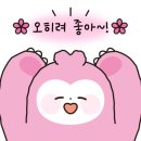 737솥뚜껑삼겹살