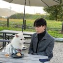 베델농장 이미지