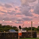 판포레스트 이미지