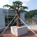 소나무회관 이미지