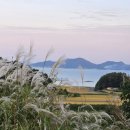 하동군금남면중평보건진료소 이미지