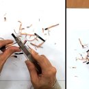 데생 초급 이미지