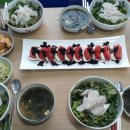 와니동물병원 이미지