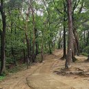 태강릉 입구 이미지