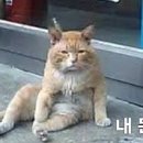 88뷰티