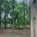 경주산림환경연구원 이미지