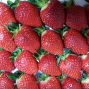 김은희농장 이미지