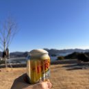 정글돔풀빌라앤글램핑 이미지