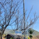 거창-고제-12 이미지