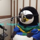EP. 456 펭수 신곡 홍보🐳 이미지