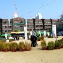 대전원평초교 이미지