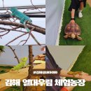 우림농장(제2농장) | 김해실내아이와가볼만한곳 열대우림체험농장 파충류