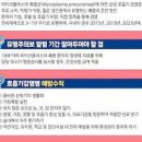 마이코플라즈마 폐렴 전염 검사 마이코플라스마 이미지