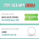 하루라이브