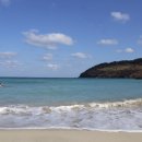 아모렉스 이미지