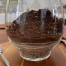 (원데이) 나만의 작은 숲, 테라리움 이미지