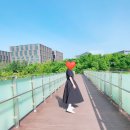 개미식물원 | 서울식물원: 주차 팁부터 입장료, 기프트숍 쇼핑 후기까지! 마곡 나들이 코스 추천