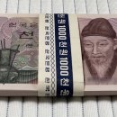정님과일