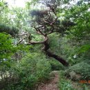 노송목장 이미지