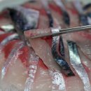 대정수산 이미지