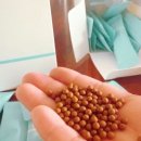 푸른샘한의원 이미지