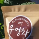 하빛마을 네이버블로그