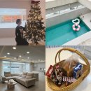 강천산 강노을펜션 | 경북감성숙소 오늘스테이 예천풀빌라 커플펜션여행