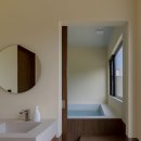 더 따숲 이미지