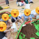 이성초등학교 이미지