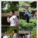 숲속의 둥지 이미지