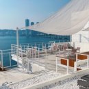 다기야기 이미지