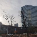 차세대정비센터 | BYD, 핫스탬핑, 차세대 소재 새로운 인사이트 가득했던 포스코 세미나 후기