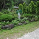 무등산 농원 이미지