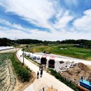 문경참미나리 미돈가 이미지