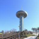 완도중학교 정문 이미지