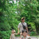 포레스트선흘 이미지
