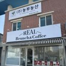 치악로 | 원주 브런치 카페_리얼브런치 맛있어서 두번 방문한 후기