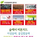 탑팀합기도 키즈짐 이미지