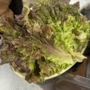 복래삼겹살 | 사가정 맛집 [ 복래 삼겹살 ] 사가정역 삼겹살 / 면목동 맛집 / 중랑구 삼겹살