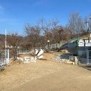 오독오독 반려견유치원 이미지