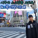신도3교차로 2 | 도쿄 대표 관광지 시부야 스크럼블 교차로 록시땅 카페 후기