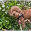 아이조아요양보호소 안양점 이미지