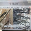 신승희가위소리 이미지