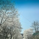 충북 제천 캠핑장 추천 [덕동골오토캠핑장]