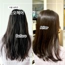 헤어인리린 | 잠실 미용실 준오헤어 잠실점 클리닉 채리 디자이너