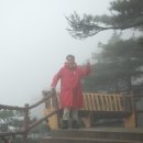 황산카정비