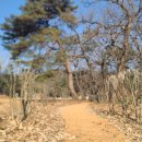 능뜰공원 이미지