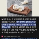 하루에 생마늘 12개씩 먹음 이미지