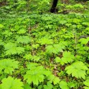 후계자축산 이미지