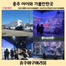 린아이 충주 CS센터 | 충주 아이와 가볼만한곳 충주아쿠아리움 미디어아트가 있는 실내 데이트 추천!